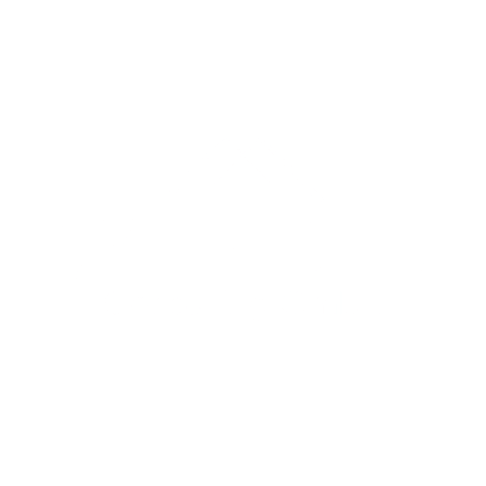Synnous Consulting Logo